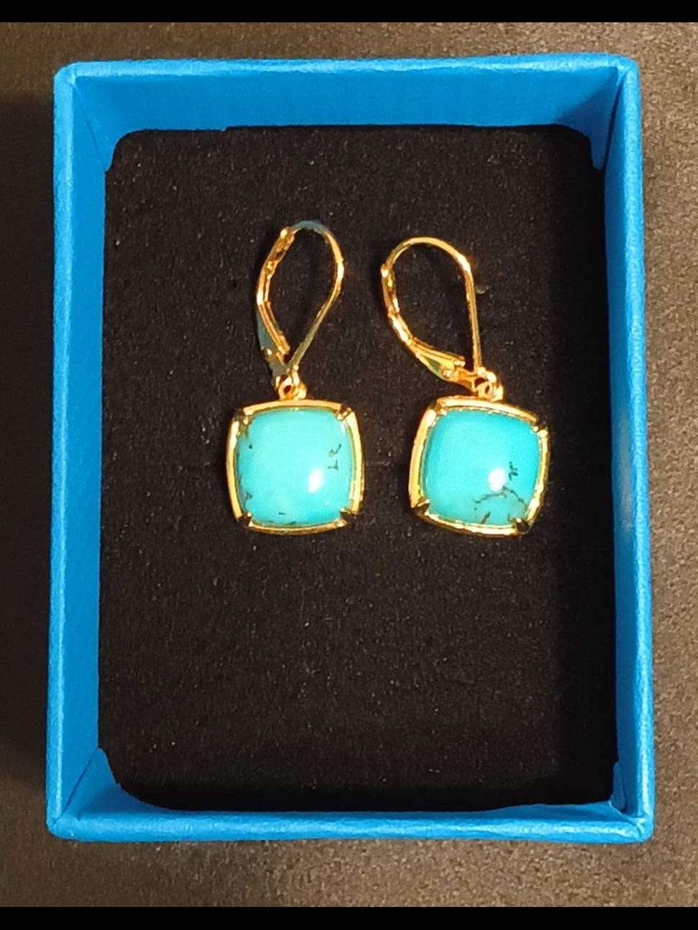 ​JTV Genuine Turquoise Cushion Leverback Earrings 18k Gold Over Sterling 925